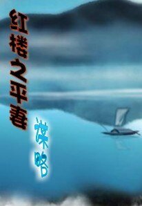 红楼之平妻谋略