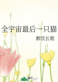 全宇宙最後一隻貓